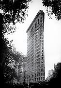 Flatiron Noir Photograph by Jessica Jenney