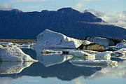 Floatting field of Icebergs in Iceland Photograph by Sami Sarkis Photography