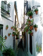 Flower Lane in Cordoba Digital Art by Gina Harrison