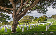 Fort Rosecrans National Cemetery Photograph Photograph by Duane Miller