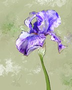 From Charlotte's Garden Digital Art by Gina Harrison