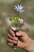 Girl holding flowers in a rifle cartridge Photograph by Sami Sarkis Photography
