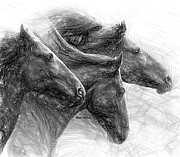 Gomer, Tease and Hazel Digital Art by Rafael Salazar