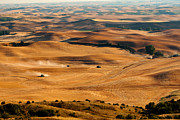 Harvest Overview Photograph by Mary Jo Allen
