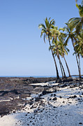 Hawaii Paradise Photograph by Kelley King