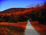 Heading Up Mount Wawayanda Photograph by Raymond Salani III
