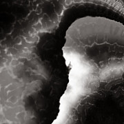 Just Sitting Digital Art by Vic Eberly