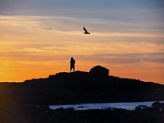 Just The Two Of Us Photograph by Joe Schofield