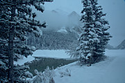 Lake Louise Foggy Winter Morning Photograph by Adam Jewell