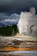 Lion Gesyser Erupting Photograph by Bruce Block