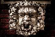 Lion Head Photograph by Kenny Thomas