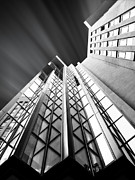 Looking Up Photograph by Stefano Senise