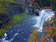 Mesa Falls in Autumn Photograph by Raymond Salani III