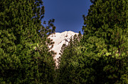 Mount Shasta #2 Photograph by Blake Webster