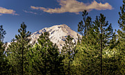 Mount Shasta Photograph by Blake Webster