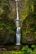 Multnomah Falls Photograph by Mary Jo Allen
