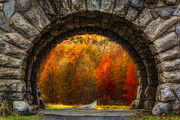 Natures Color Schemes Photograph by Susan Candelario