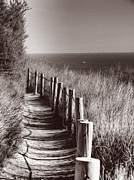 Ocean Trails  Palos Verdes California Photograph by Joe Schofield