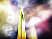 On Air 3 Photograph by Jaroslav Buna