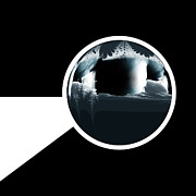 On Closer Inspection Digital Art by Vic Eberly