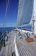 On Deck off Mexico Photograph by David J Shuler