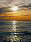 One Left Photograph by Joe Schofield