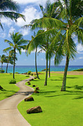 Pathway to the Beach Photograph by Bruce Block