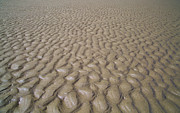 Patterns In The Sand Photograph by Bruce Block