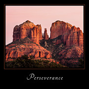 Perserverance 3 Photograph by Mary Jo Allen