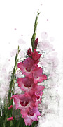 Pink Champagne Digital Art by Gina Harrison