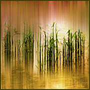 Pond Grass Abstract Photograph by Jessica Jenney