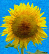 Portrait of a Sunflower Painting by Jeffrey Kolker