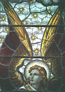 Preparing To Fly Photograph by Kenneth Campbell