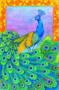Pretty Peacock Drawing by Rebecca Wang