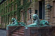Princeton University Nassau Hall Tigers Photograph by Susan Candelario