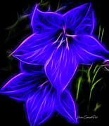 Purple Passion Photograph by Joann Copeland-Paul