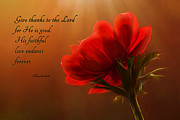 Reaching Inspiration Photograph by Mary Jo Allen