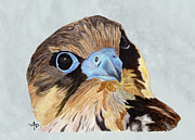Red-Tailed Hawk Portrait Painting by Angeles M Pomata