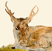 Reindeer Painting by Angeles M Pomata