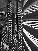 Relfections and Shadows Photograph by Steven Ralser