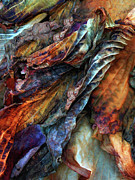 Remnants Photograph by Jessica Jenney