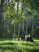 Right Where He Left It Photograph by Mary Lee Dereske