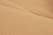 Natures Curves Photograph by Kevin Schwalbe