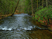 River in Caledonia State Park Along the AT Photograph by Raymond Salani III