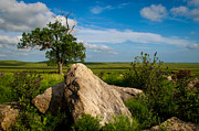 Rocks and Cottonwood 2 Photograph by Jeff Phillippi