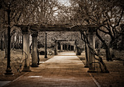 Safe Passage Photograph by Onedayoneimage Photography