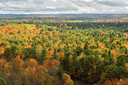 Sea of Color Photograph by Steve L'Italien
