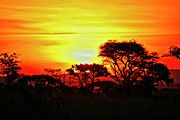 Serengeti Sunset Photograph by Bruce Block