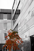 Shoreline City Hall Photograph by Mary Jo Allen
