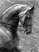 Silverado Digital Art by Rafael Salazar